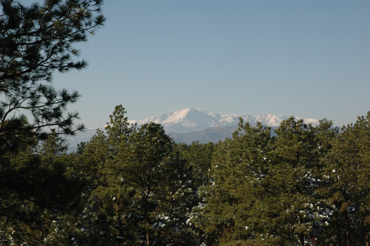 Black Forest Country Estate SOLD Colorado Springs, Colorado Ranchland
