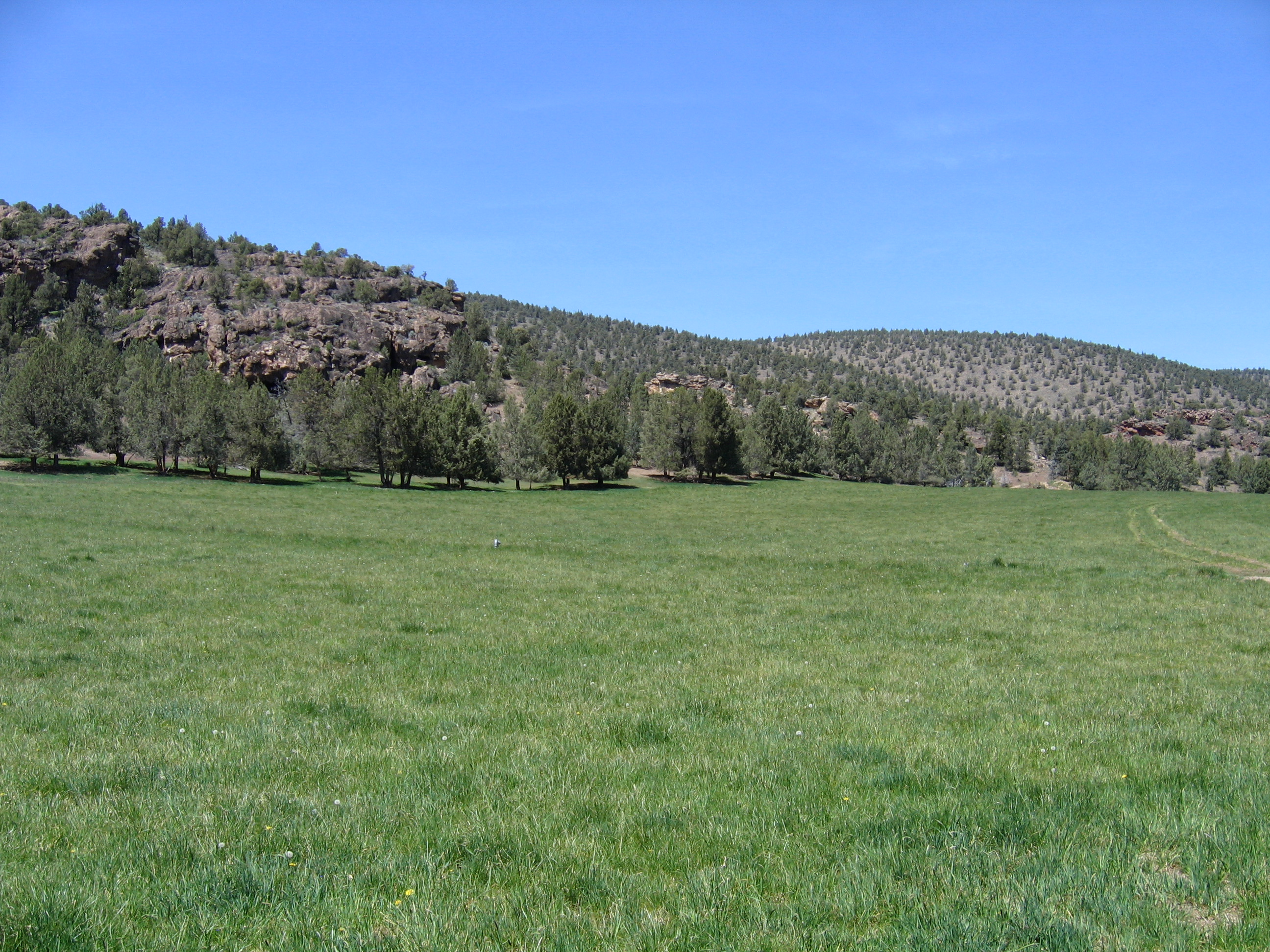 Oregon Ranch Redmond Lone Pine Timber Cattle Ranches For Sale