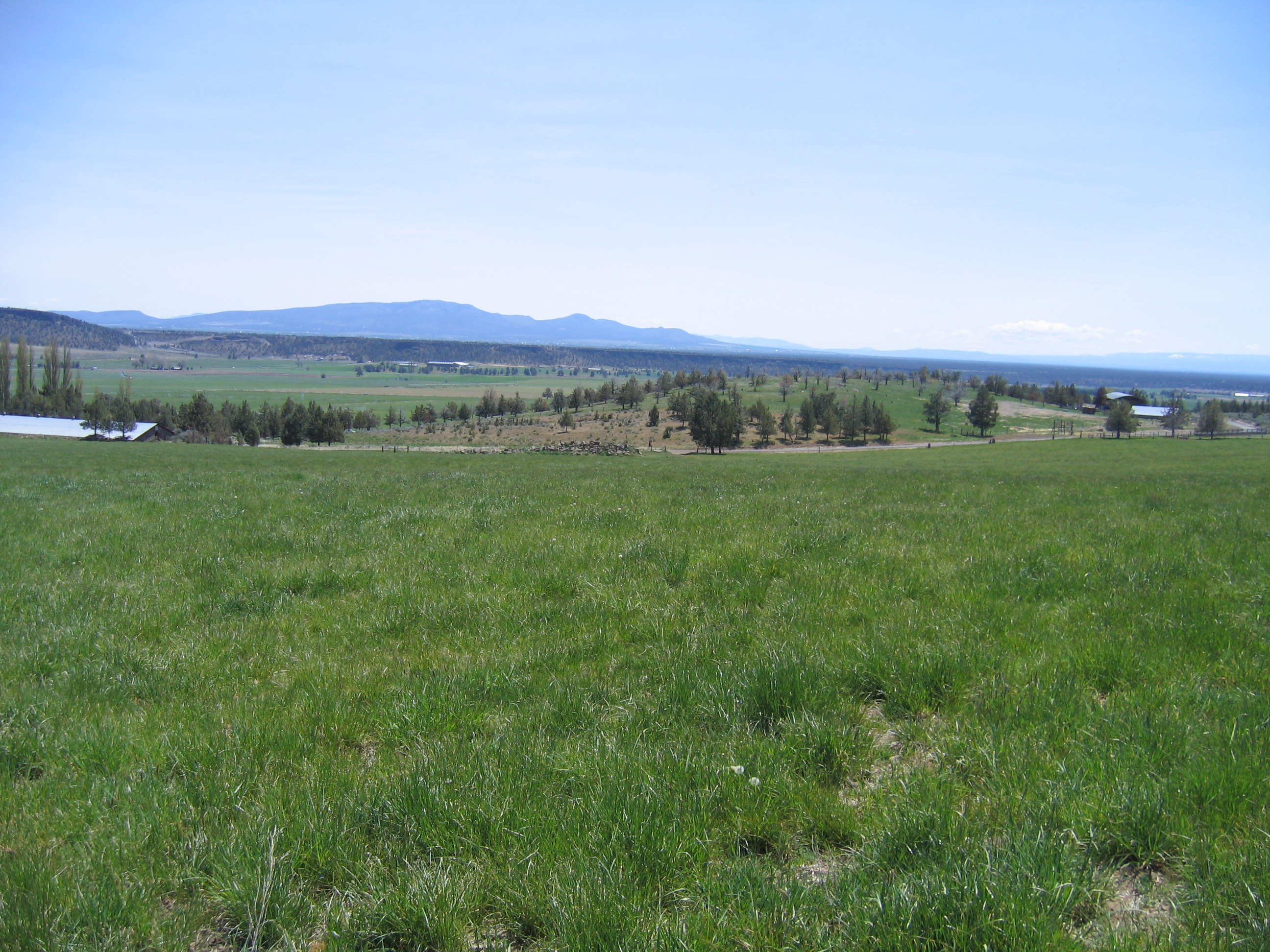 Oregon Ranch Redmond Lone Pine Timber Cattle Ranches For Sale