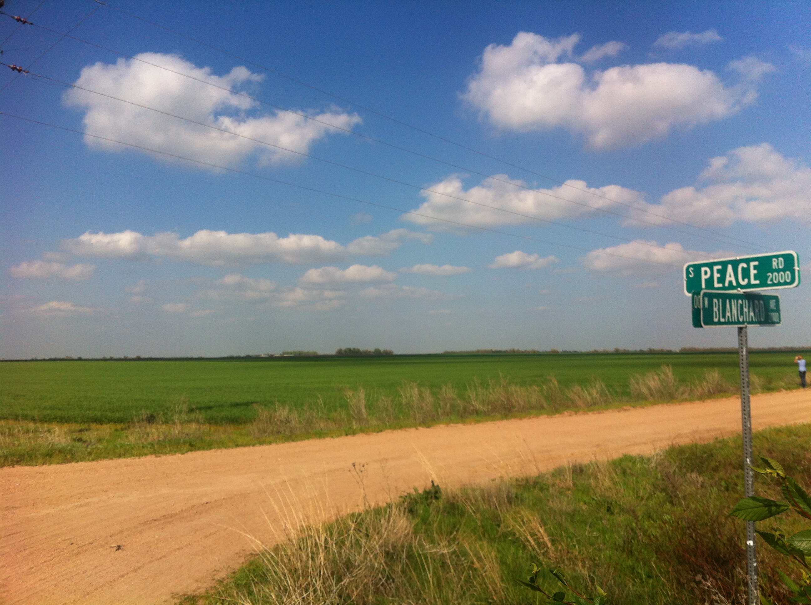 Kansas Farmland For Sale Reno County Kansas Wheat Corn