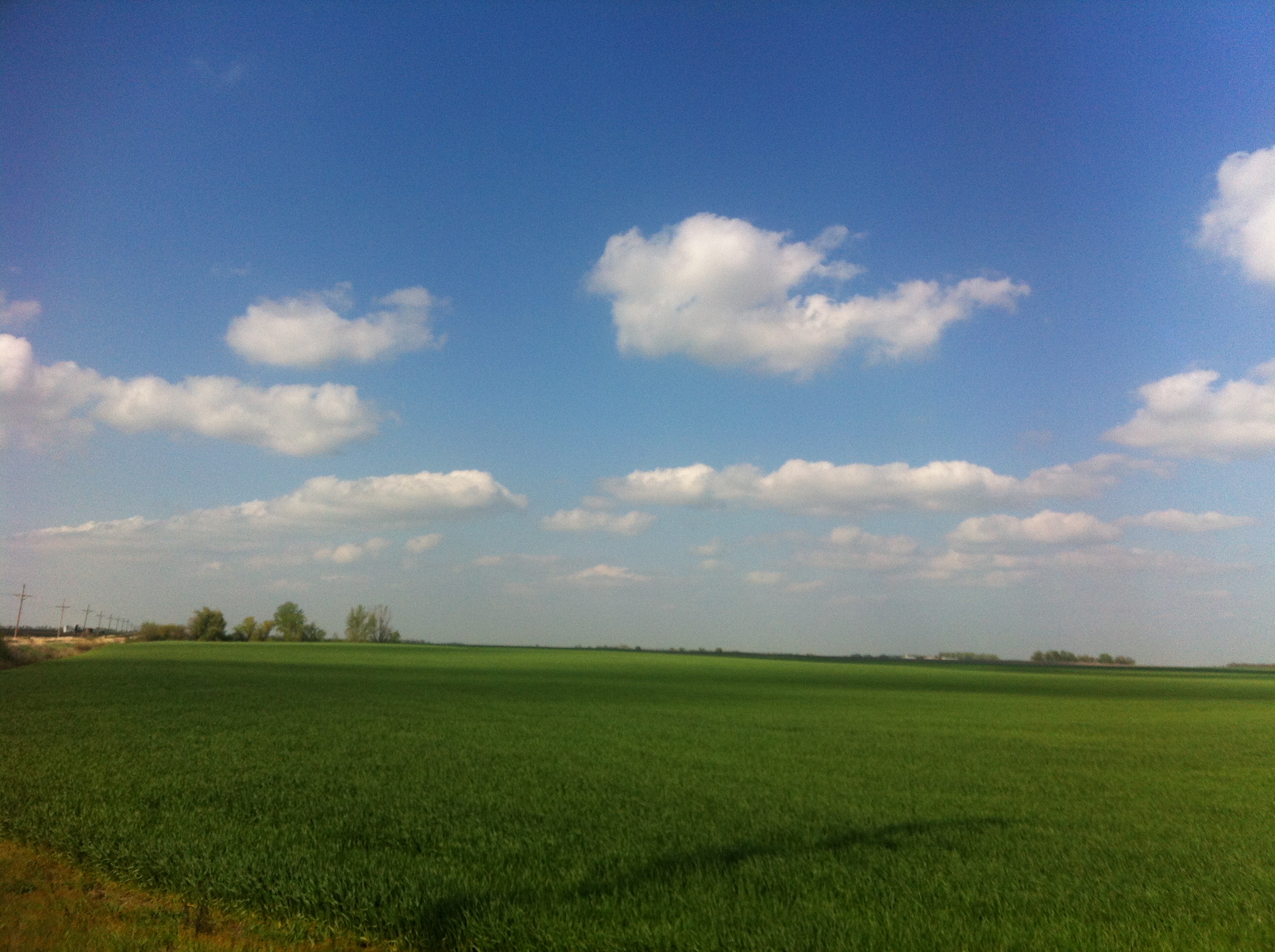 Kansas Farmland For Sale Reno County Kansas Wheat Corn