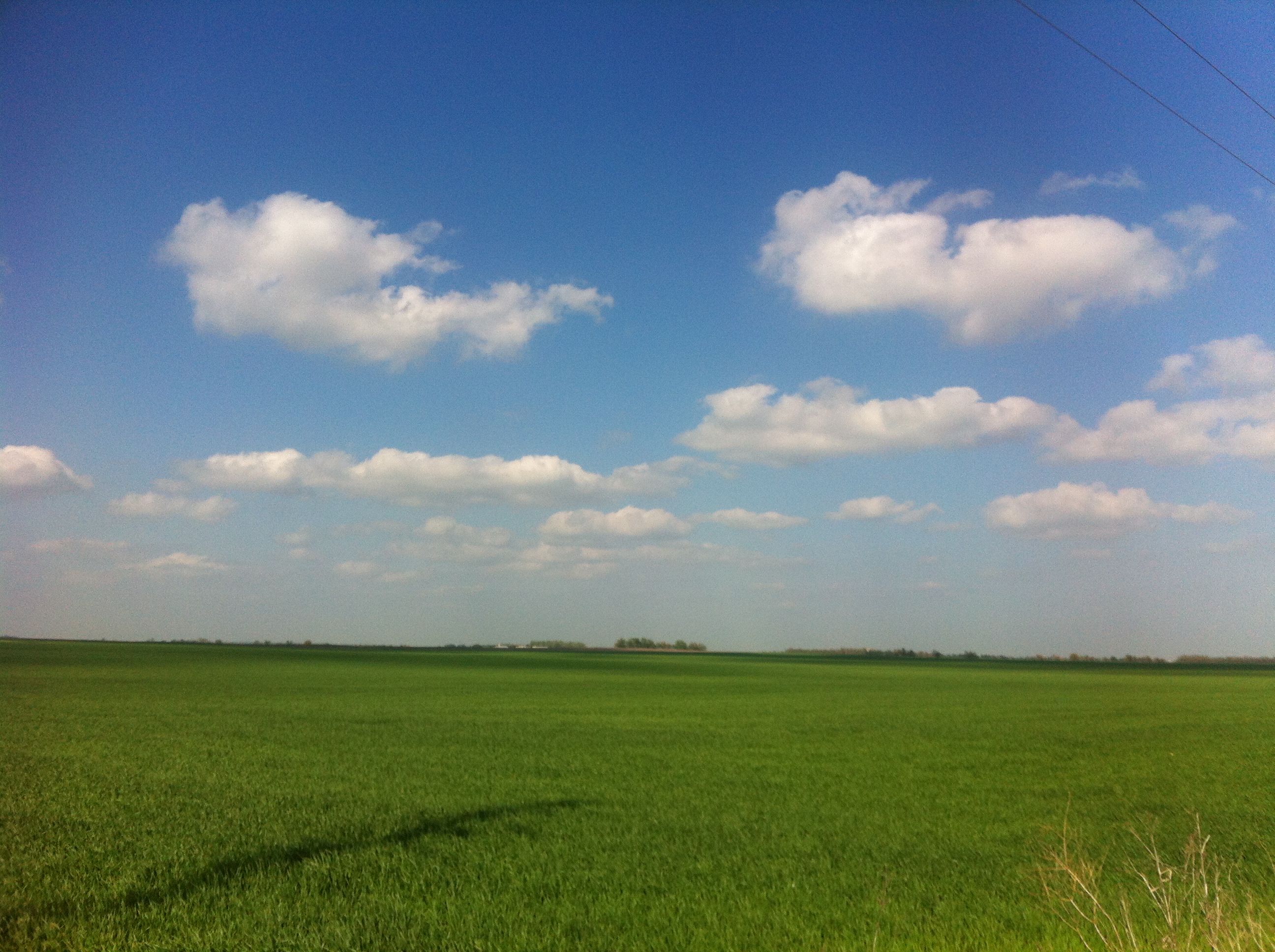 Ranches for Sale in Kansas Mason Morse Ranch Company