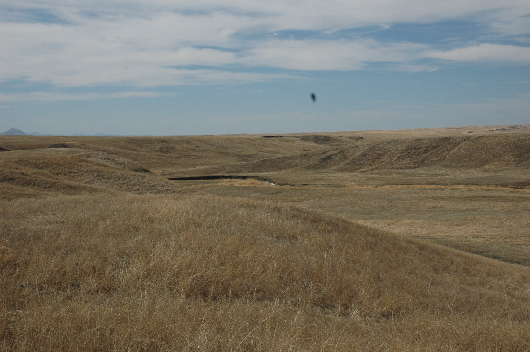 South Dakota Ranch For Sale Sturgis Cattle Pastureland Grazing