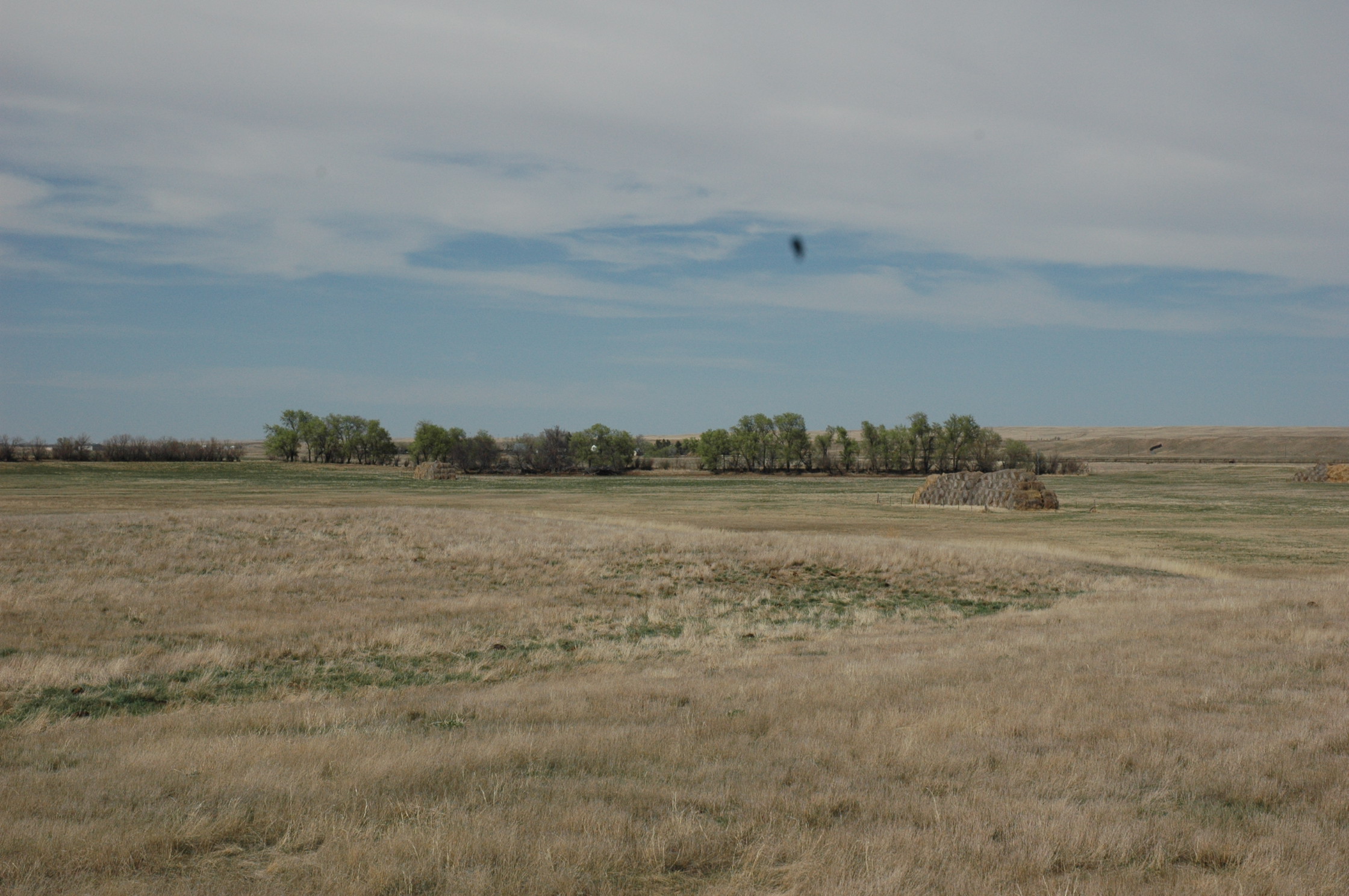 South Dakota Ranch For Sale Sturgis Cattle Pastureland Grazing