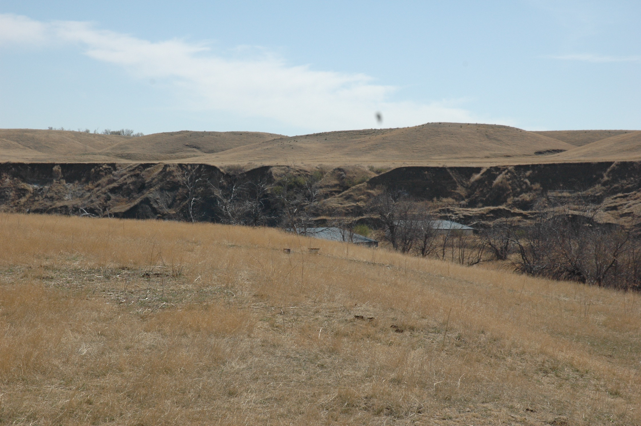 South Dakota Ranch For Sale Sturgis Cattle Pastureland Grazing