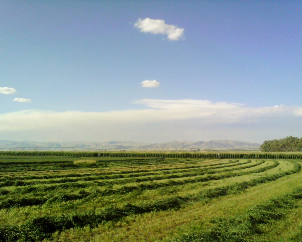 Wyoming Muddy Creek Farm and Ranch SOLD Riverton, Wyoming Ranchland