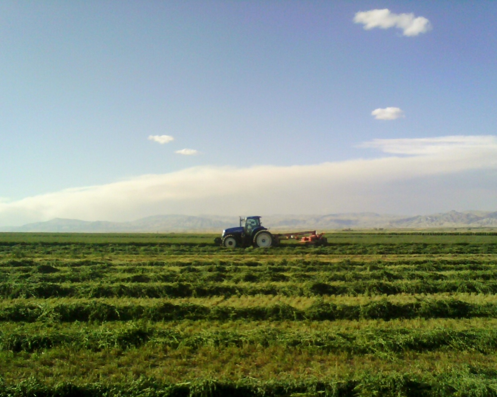 Ranches for Sale in Wyoming Mason Morse Ranch Company