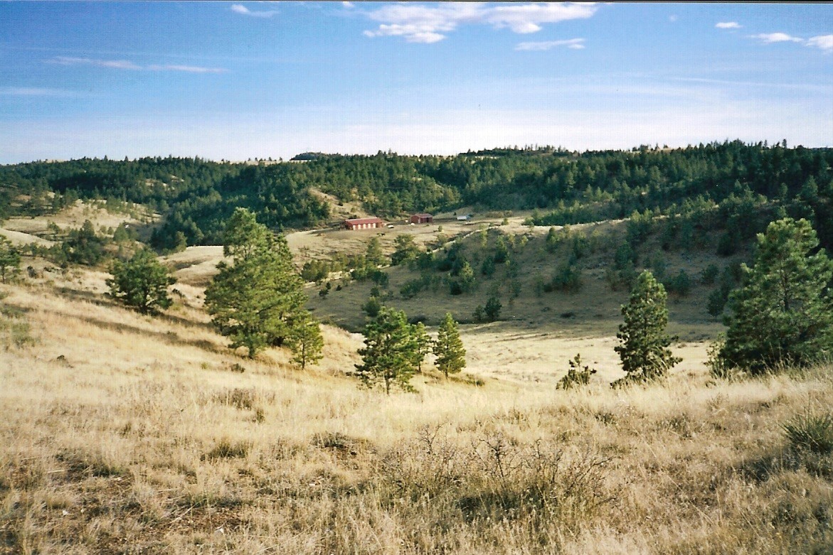 Montana Hidden Springs Ranch Broadus, Montana Ranchland