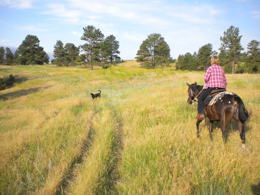 Nebraska Ponderosa Ranch Crawford, Nebraska Ranchland
