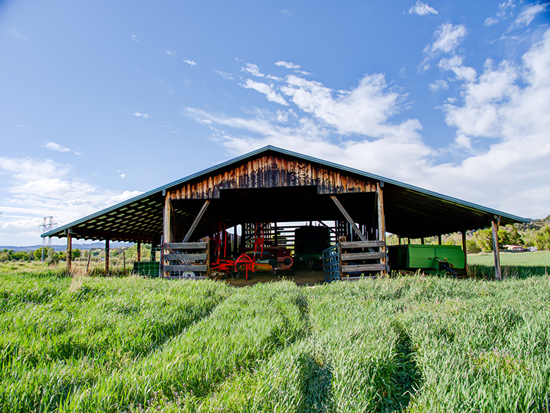 White River Ranch, Meeker Colorado, Rio Blanco county, Farms, Ranches
