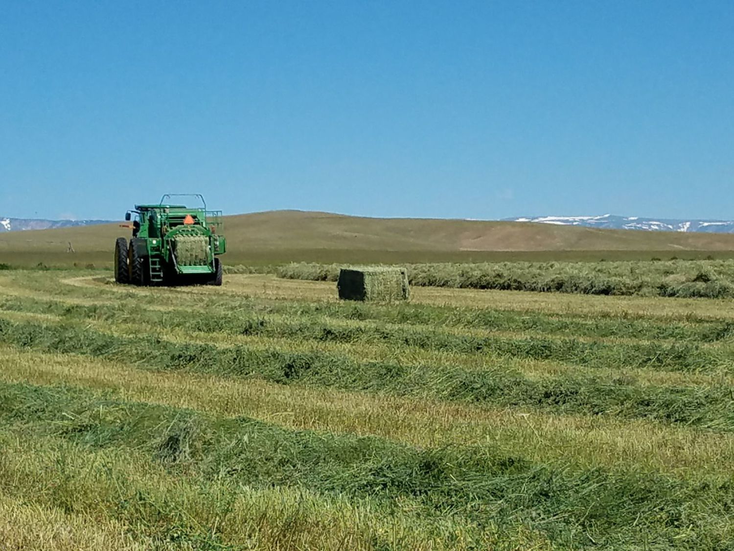 VEO Irrigated Farm & Ranch, Powell Wyoming, Park county, Farms, Ranches