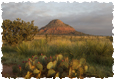 The Bell Ranch