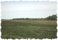 photos008115