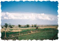 scan0011115