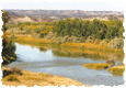 Montana Ranches for Sale