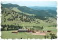overview115