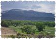 coloradoranchesforsale