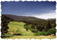 Elkgreenpasture115
