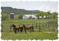 Ranches for Sale Colorado