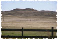 25061-00077-1593696115