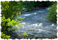 middlefork_16115
