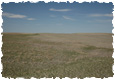 nebraskacrpa115
