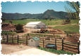 Colorado Ranches for Sale Mason Morse Ranch Company