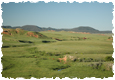 Sundance_1115
