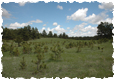 Sunset_Ridge_1115