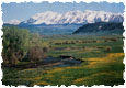 /images/commerce/preview/OhioCreekMT115.jpg