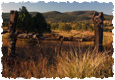 New Mexico Ranches for Sale
