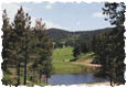 ristcanyonpon115