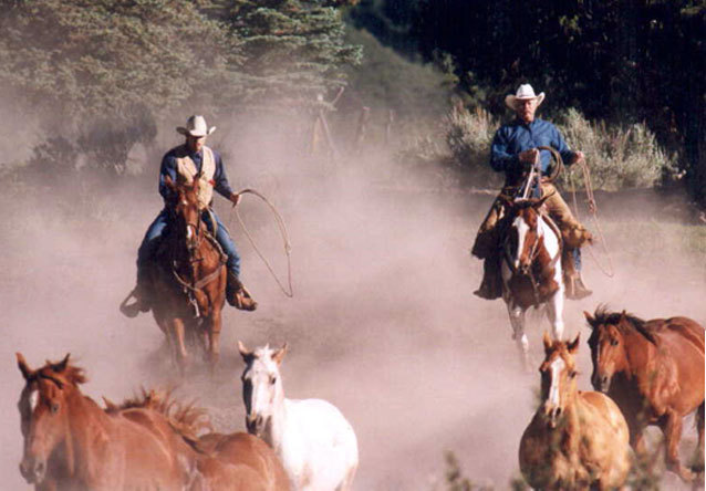 Cowboys
