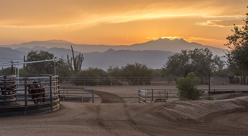 Horse Equestrian Ranches For Sale Mason Morse Ranch Company