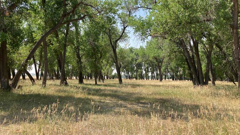 Thornburg Acreage