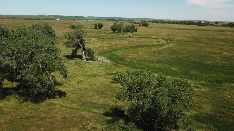 Dakota Territory Ranch
