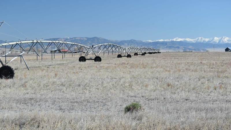Corzine Ranch