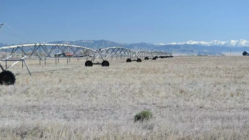 Corzine Ranch