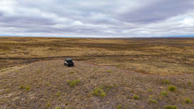 Woodward Grass Ranch