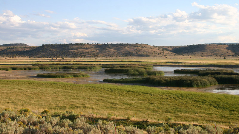 Gutierrez Ranch and Cattle Co