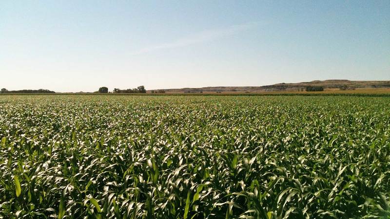 Muddy Creek Farm and Ranch