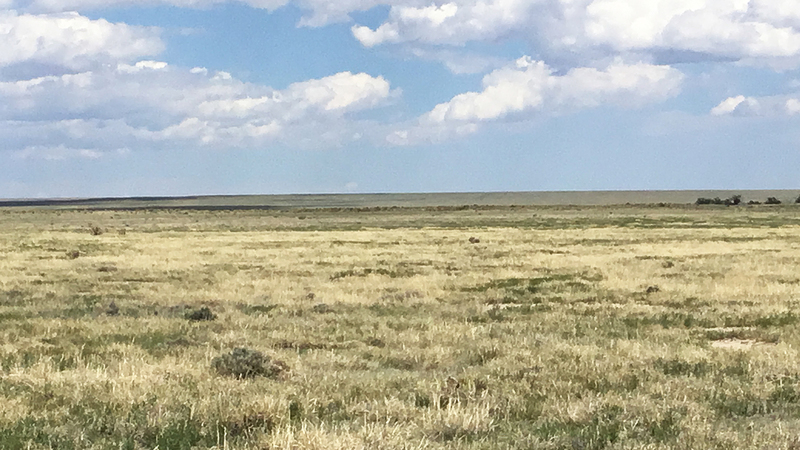 Chambers Ranch