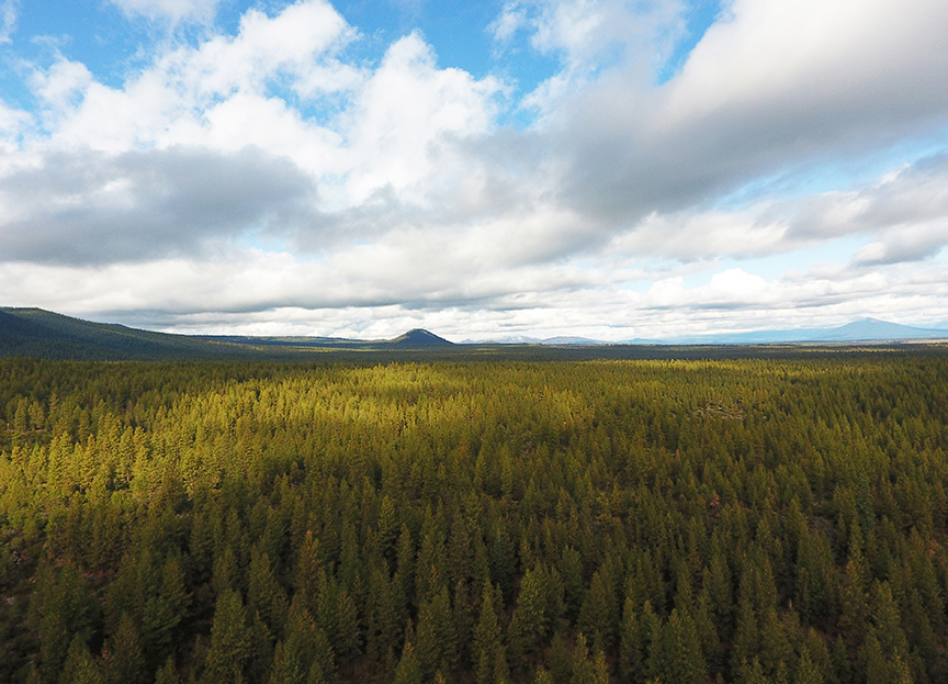 Bull Springs Skyline Forest, Bend Oregon, Deschutes County Conservation