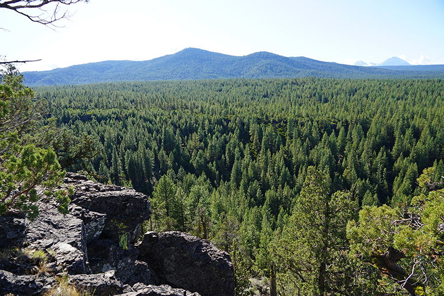 Bull Springs Skyline Forest, Bend Oregon, Deschutes County Conservation