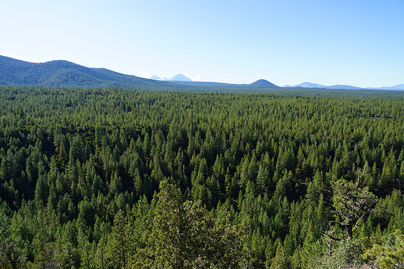 Bull Springs Skyline Forest, Bend Oregon, Deschutes County