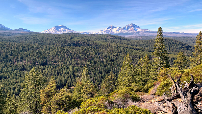 Bull Springs Skyline Forest - Deschutes County, Oregon