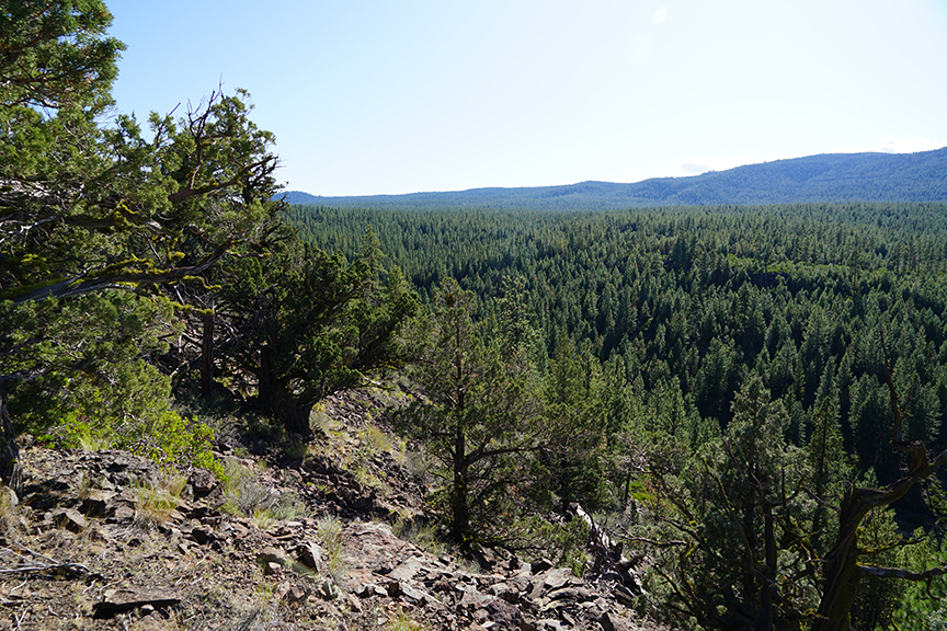 Bull Springs Skyline Forest, Bend Oregon, Deschutes County Conservation