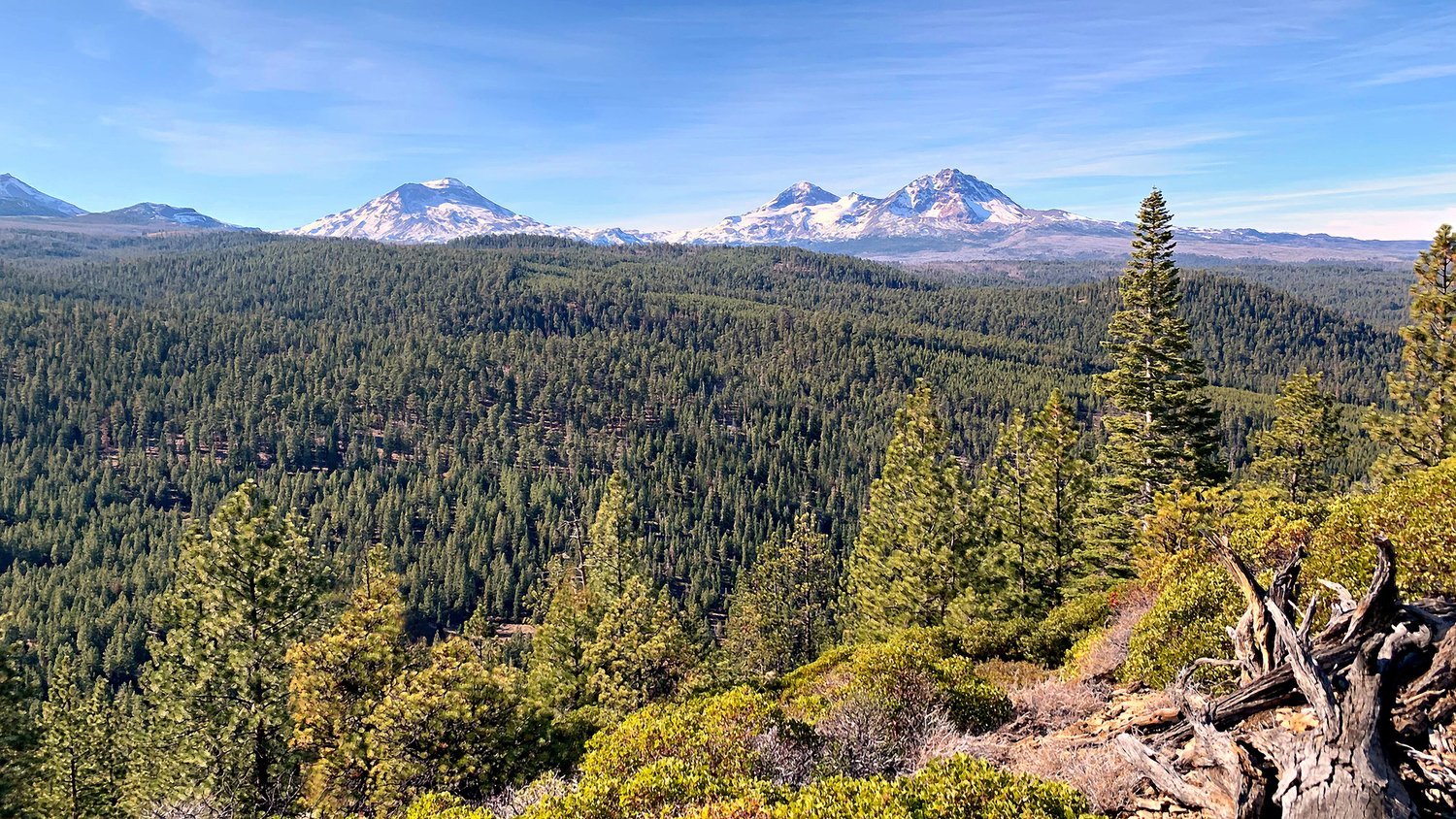 Bull Springs Skyline Forest, Bend Oregon, Deschutes County Conservation