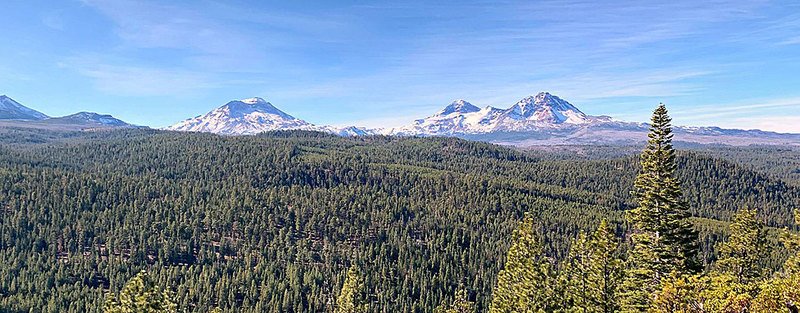 Bull Springs Skyline Forest