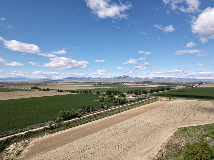 Wyoming Irrigated Hay Farm